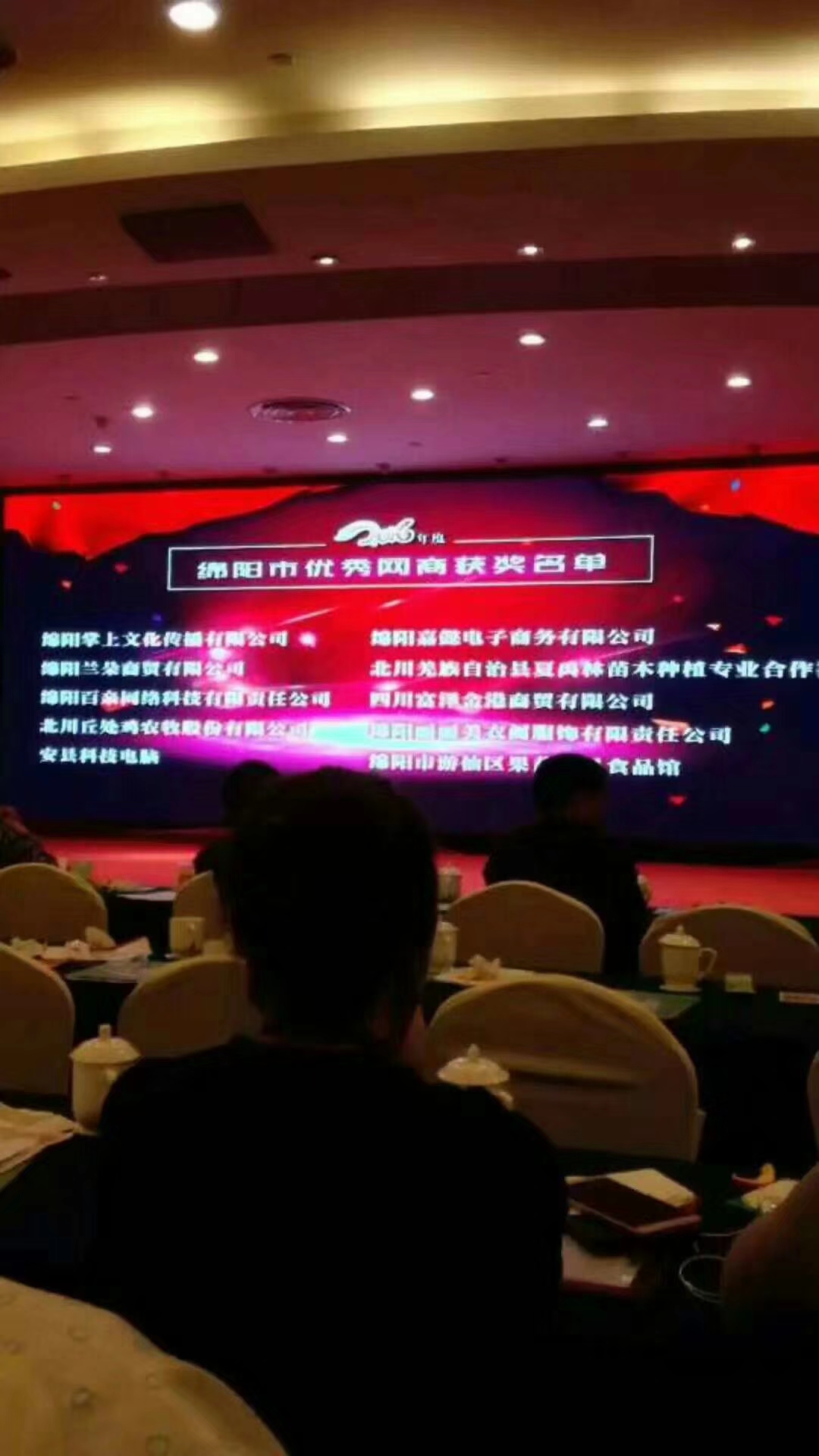 绵阳市优秀网商名单